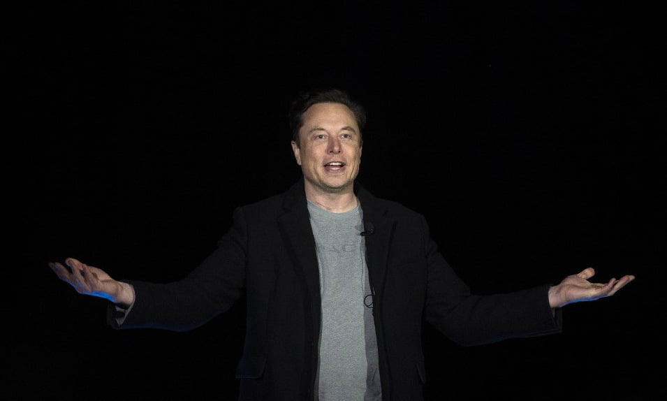 wrongly fell in love with deepfake elon musk was cheated out of 50000 usd 662f2336e71d5 | Dang Ngoc Duy