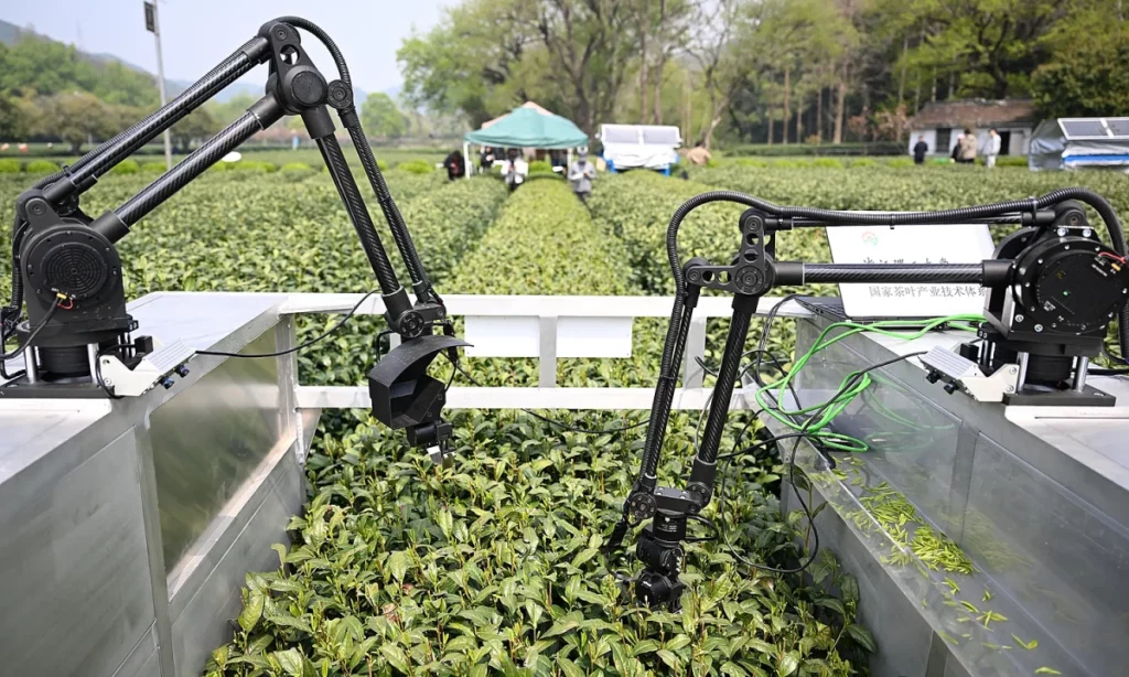 how ai is rewriting rural china 6874895627f81 | Dang Ngoc Duy