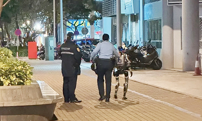 humanoid robot arrested for scaring 70 year old woman 69b7888a8237b | Dang Ngoc Duy